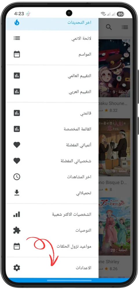 Settings Anime Slayer